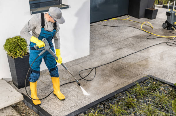 Best Power Washing Near Me  in Point, TX