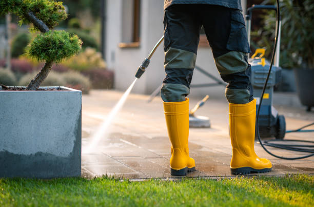 Best Pressure Washing Near Me  in Point, TX